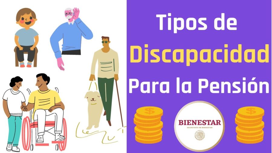 tipos de discapacidad