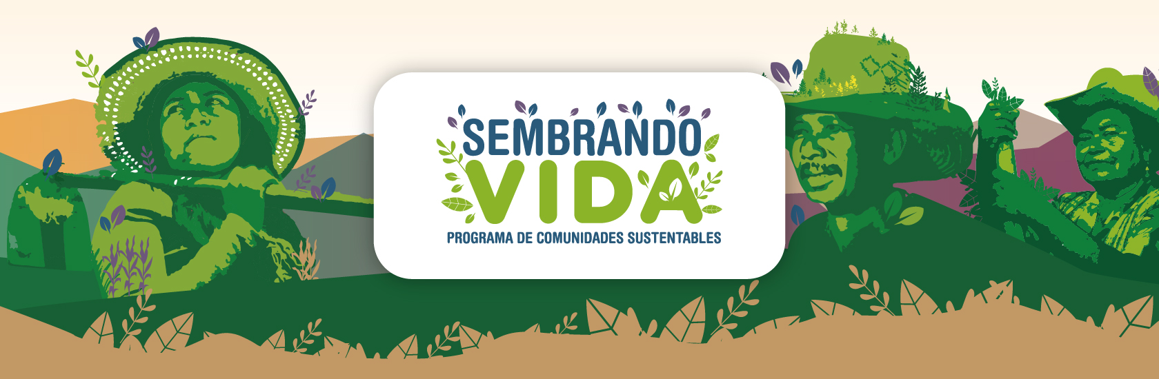 💖🌱🌳 Nuevas Reglas de Operación del programa Sembrando vida, para el